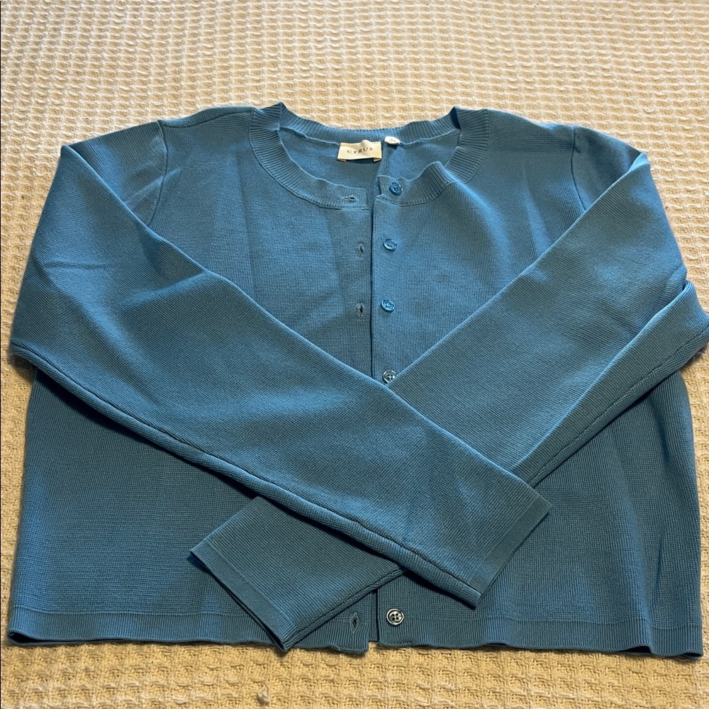 Cyrus Blue Button-Up Sweater
